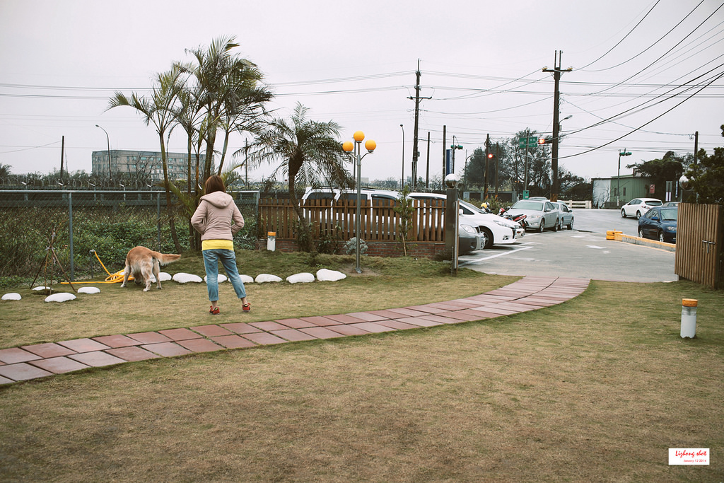 小狗的第三航廈咖啡野放