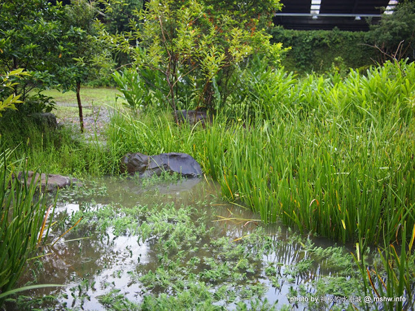 戲綠川民宿:【景點】【食記】南投戲綠川民宿&部落美食餐廳@埔里甫田六號探坑 : 清幽氛圍中的部落美味,但是太天然了