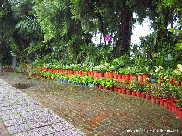 戲綠川民宿:【景點】【食記】南投戲綠川民宿&部落美食餐廳@埔里甫田六號探坑 : 清幽氛圍中的部落美味,但是太天然了