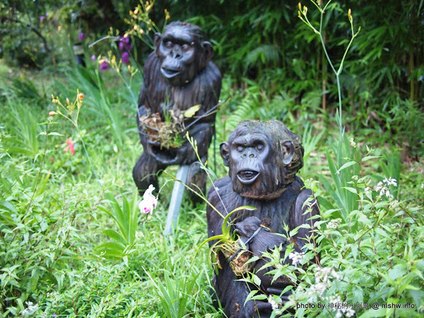 戲綠川民宿:【景點】【食記】南投戲綠川民宿&部落美食餐廳@埔里甫田六號探坑 : 清幽氛圍中的部落美味,但是太天然了
