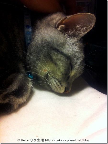 1504143_710317718979263_1611067016_n-20140101