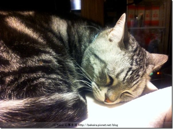 1526807_710317732312595_616796440_n-20140101