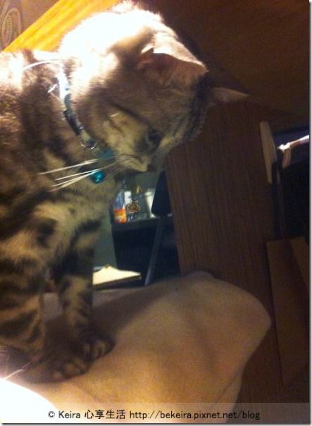 1526831_710318048979230_2079366972_n-20140101