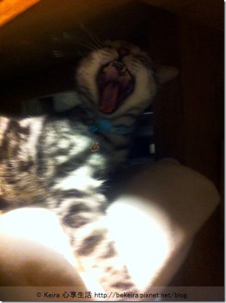 1521598_710317778979257_1200969487_n-20140101