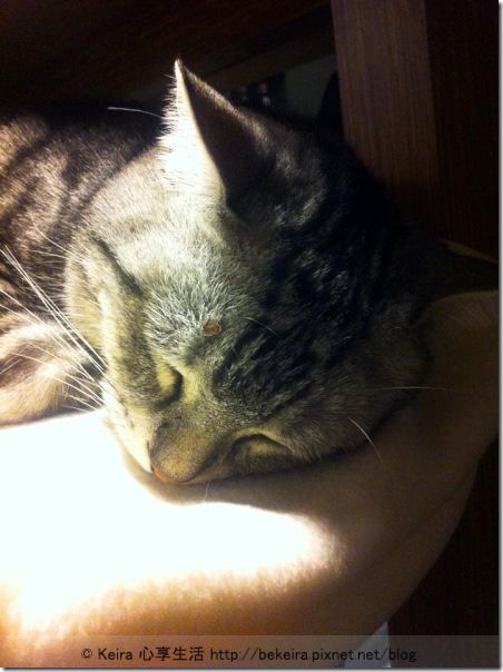 1526889_710317742312594_1335503976_n-20140101