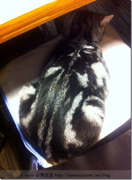 1544973_710318062312562_1474869437_n-20140101