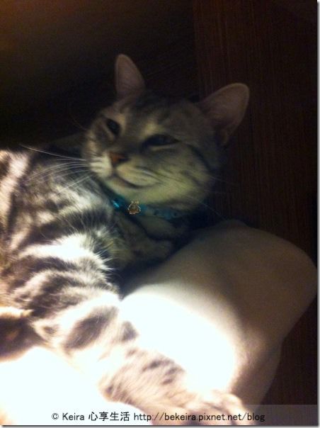 1497589_710317758979259_1557837372_n-20140101