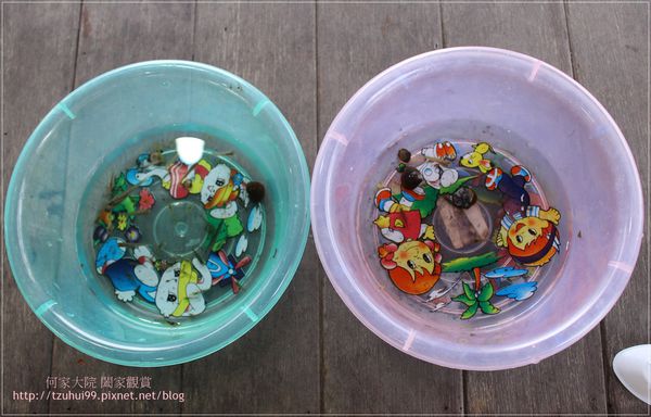 宜蘭花泉休閒農場 27.JPG