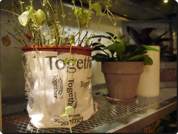 她他小曼谷(她他小館):【大安區】她他小曼谷 Thai Café Together-很有異國情調的泰式雙層下午茶