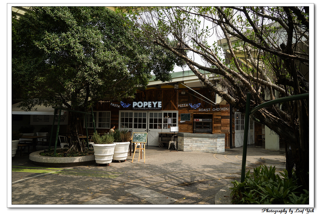 葉影瓶像版權所有