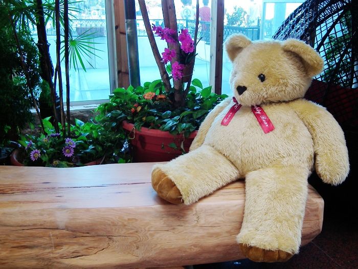 DSCF6348 - 複製_nEO_IMG.jpg