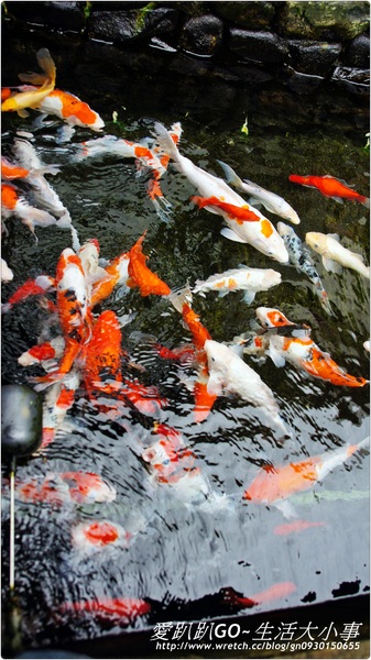 菌寶貝博物館:【宜蘭/宜蘭市】菌寶貝博物館