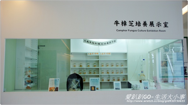 菌寶貝博物館:【宜蘭/宜蘭市】菌寶貝博物館