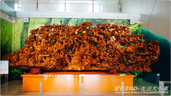 菌寶貝博物館:【宜蘭/宜蘭市】菌寶貝博物館