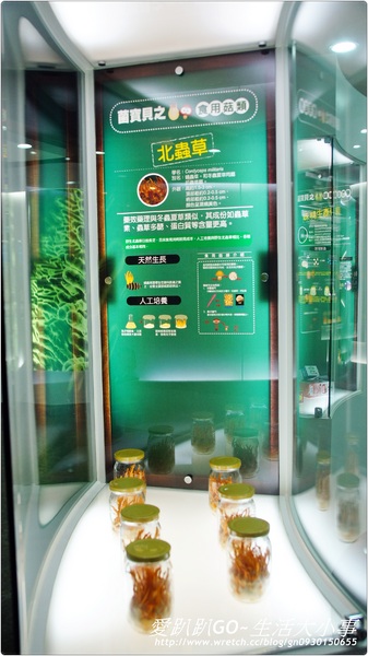 菌寶貝博物館:【宜蘭/宜蘭市】菌寶貝博物館