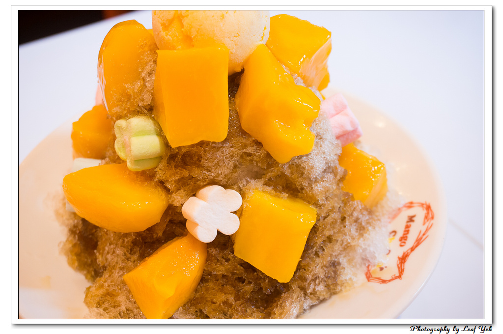 葉影瓶像版權所有