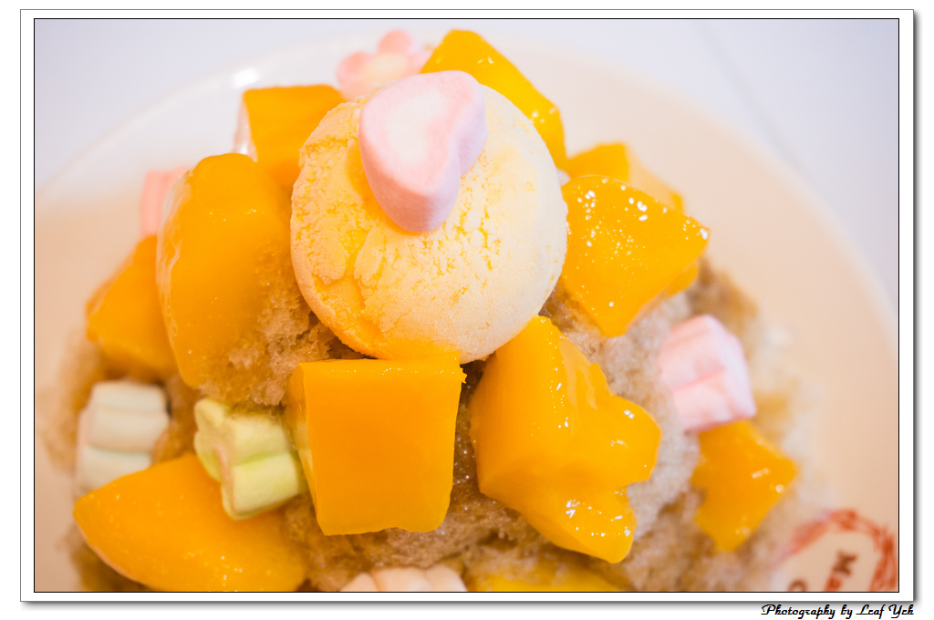 葉影瓶像版權所有