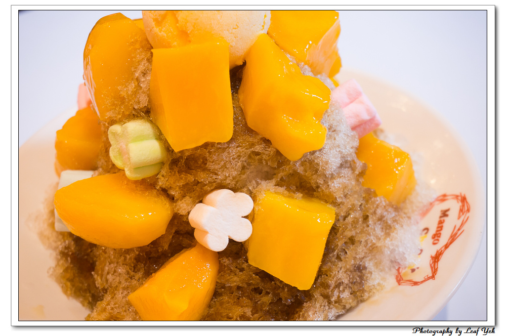 葉影瓶像版權所有