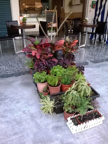 吉娜多義式手工冰淇淋(King Gelato)：口味無窮變、隱藏巷弄的No.1——King Gelato吉娜多義式手工冰淇淋