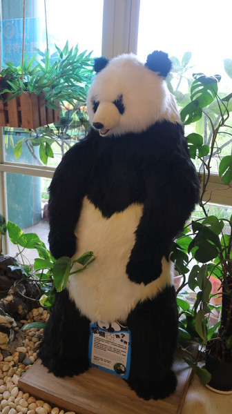 貓熊世界主題餐廳：【主題餐廳】台北動物園裡的貓熊世界主題餐廳