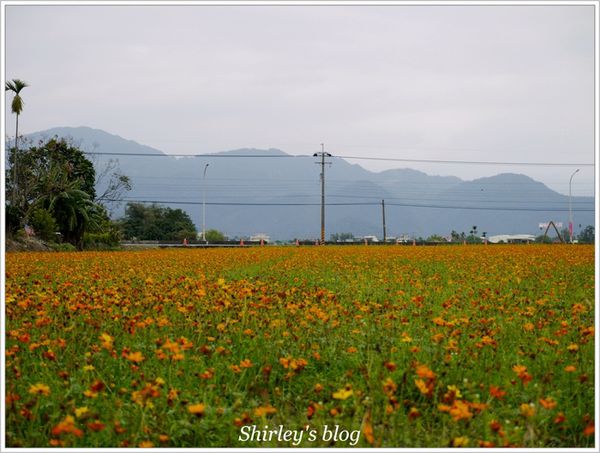 搖搖洛克馬:宜蘭三星鄉‧搖搖洛克馬