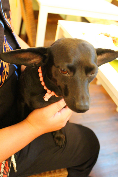 Livia's kitchen - 薇甜：[台北]新店隱藏版手作甜點 Livia's kitchen薇甜