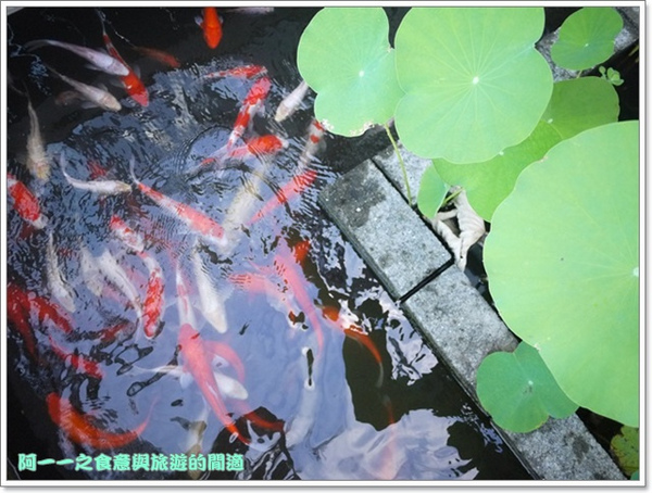 余水知歡民宿:台東長濱 余水知歡民宿 Yujoy House 被綠意擁抱的樂園~阿一一炎夏台東熱汽球之旅