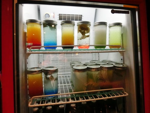 2015-12-15 17.53.52.jpg