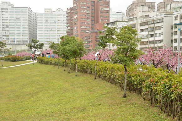 樂活公園05