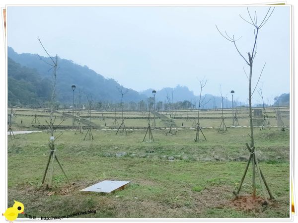 台北-南港山水綠生態-山豬窟化身成池畔木屋-戶外劇場