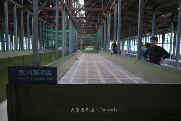 茶廠16.jpg
