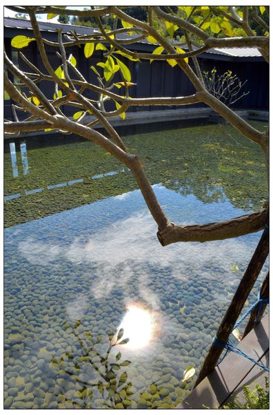 複製 -DSC_9396.JPG