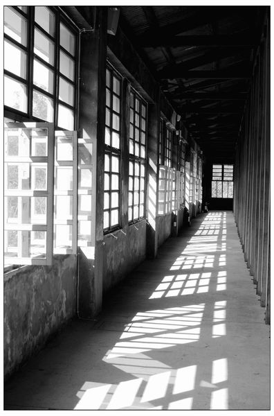 複製 -DSC_9389.1.jpg