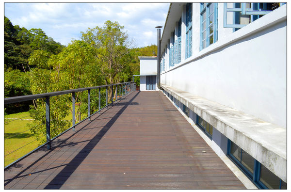 複製 -DSC_9385.JPG