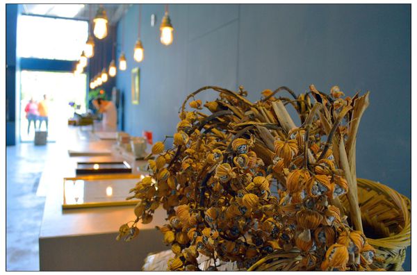 複製 -DSC_9291.JPG