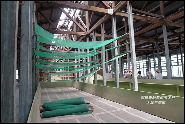大溪老茶廠43.JPG