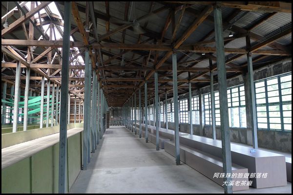 大溪老茶廠32.JPG