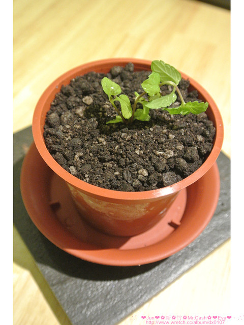 Mr. cash:【食記】oO。。新竹 Mr.Cash蜜糖吐司 什麼?!蜜糖吐司也不忘了Candy Crush,超可愛的kitty蜜糖吐司,大家吃過了嘛?!而且還有可愛的拉花kitty咖啡喲~。o○。