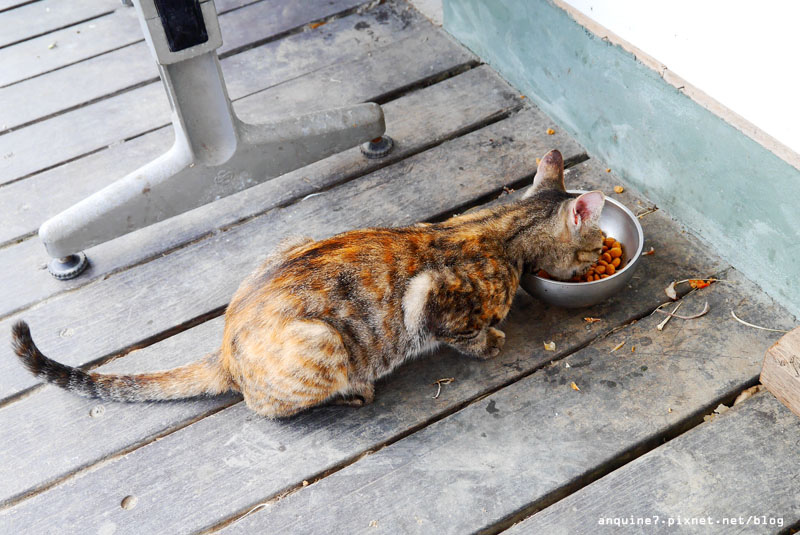 廖西瓜＠台東山里車站＆山里福音教會27