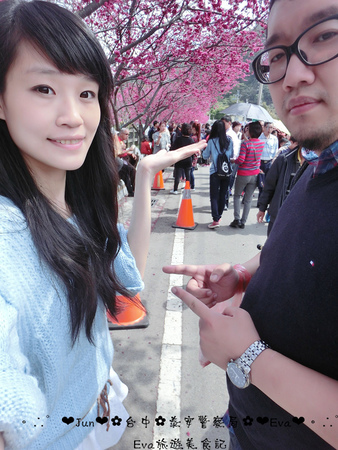 泰安派出所:【遊記】oO。台中 后里 泰安警察局 2015年櫻花 全台最美的警察局~大家來朝聖過了嗎?!。o○。