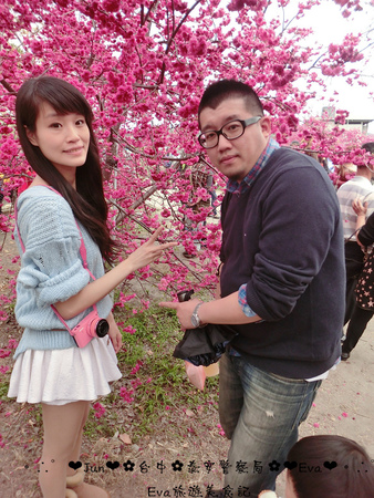 泰安派出所:【遊記】oO。台中 后里 泰安警察局 2015年櫻花 全台最美的警察局~大家來朝聖過了嗎?!。o○。