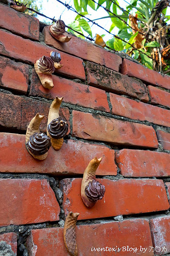 57_台南321巷藝術聚落