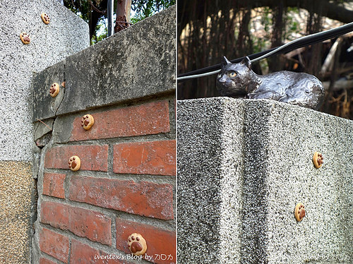 49_台南321巷藝術聚落