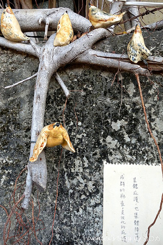 45_台南321巷藝術聚落