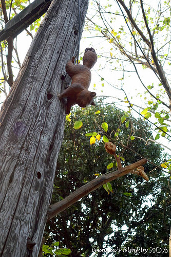 48_台南321巷藝術聚落