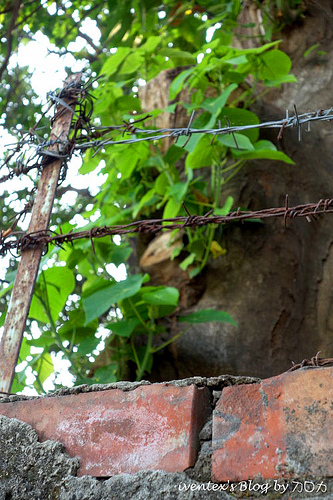 32_台南321巷藝術聚落