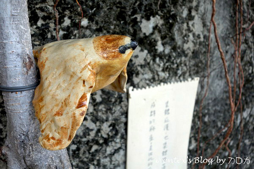 46_台南321巷藝術聚落