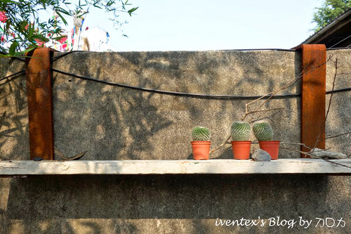 20_台南321巷藝術聚落