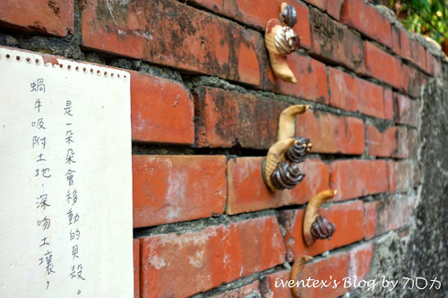 56_台南321巷藝術聚落