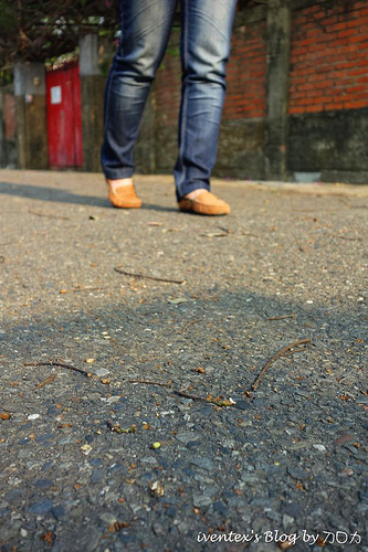 54_台南321巷藝術聚落